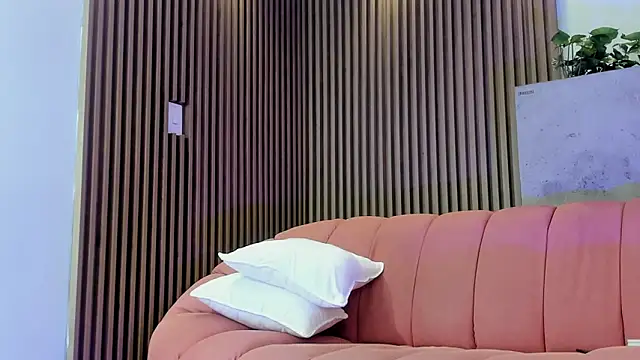 Ada_johansennn Webbikameraesitys