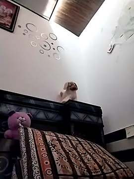 Wild_Vassu's Webcam Show