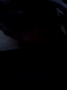 MisterHazeのウェブカメラショー