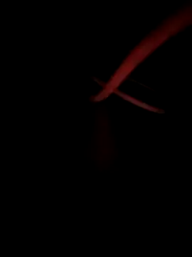 Dick_Flayer7 Show Webcam