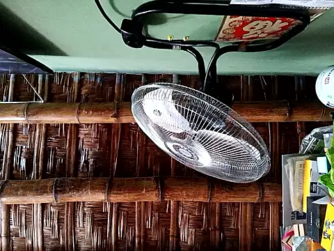 David_Coogan webcam show