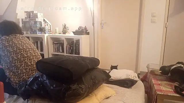 Show Webcam de Mastersanges