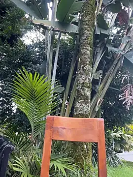 AliceMrtnz Live XXX-chat