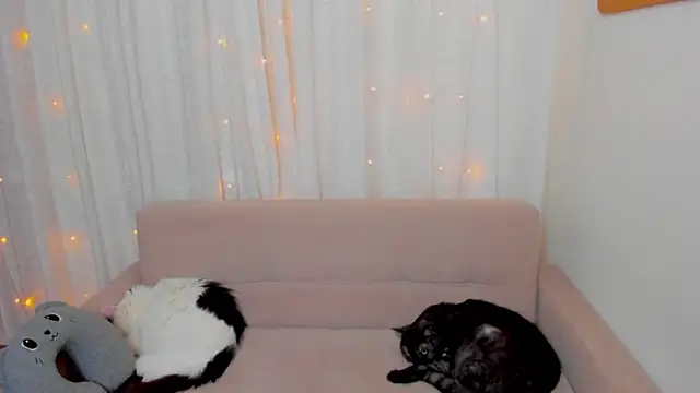 FieryHeart's Live XXX Chat