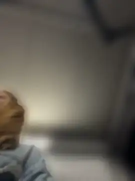 AnastasiaAniessn Live XXX chat