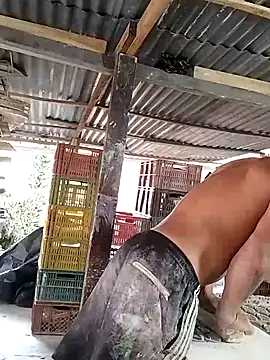 hoteder 在線直播表演