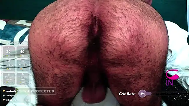 Show webcam de hairyale