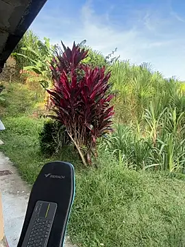 Pertunjukan Kamera Web Marco_Vega