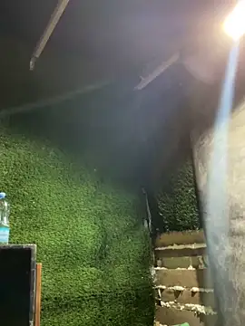 Pokazy przed kamerką – Czarnoksieznik