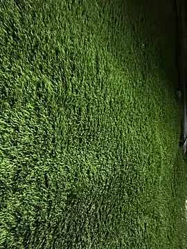 Czarnoksieznikのウェブカメラショー