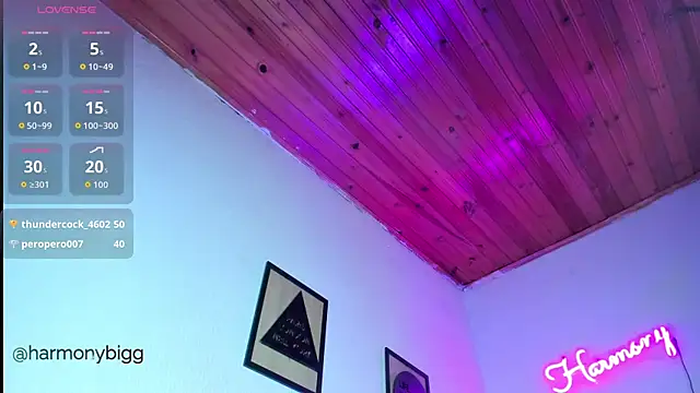 harmony_bigbreasts Show Webcam