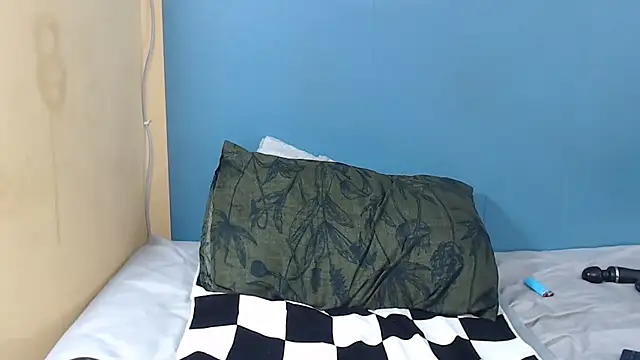 Tallatoya2026 Pertunjukan Webcam