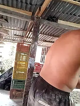 hoteder 网络视讯表演