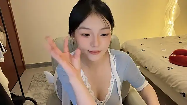 Robin-o3 Show Webcam