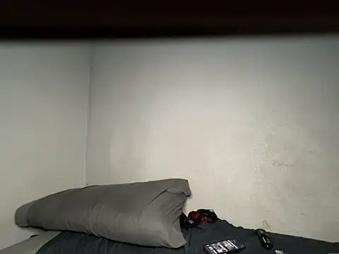 Show webcam de Vision1285