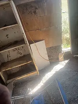 Followthepiper: вебкам-шоу