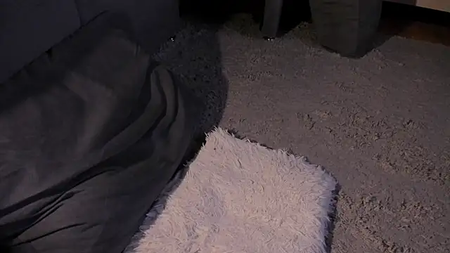 Show Webcam de RODARRI