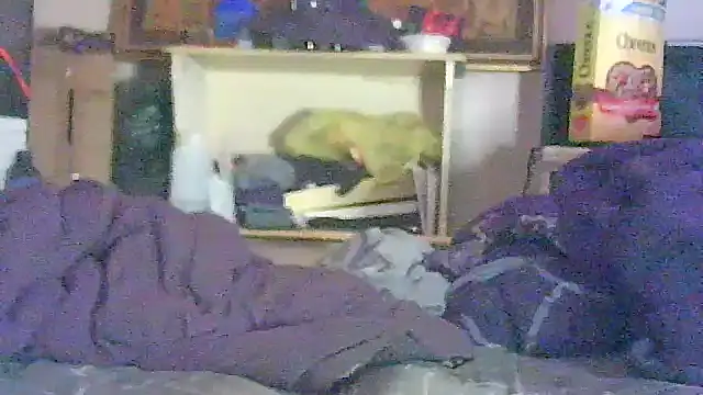 GUAPAN3S3_FIR3 – webcam-show