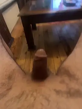 عرض كام likemonster11