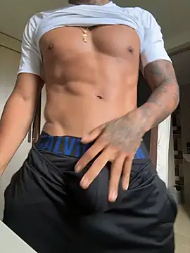 Show de webcam de sendfer