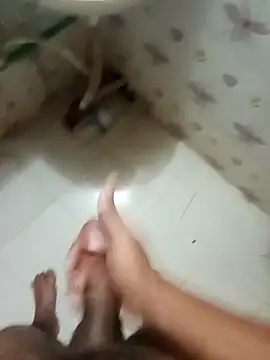 zim200n Webbikameraesitys