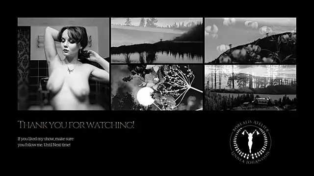 Borealisatelier Webcam Show