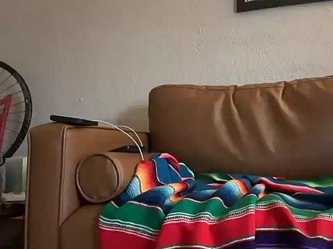 Show webcam de puckdaddy