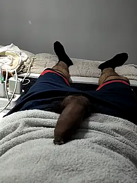 xxxfeo 网络视讯表演