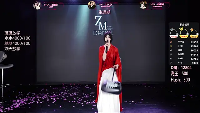 SK-001n Webbikameraesitys