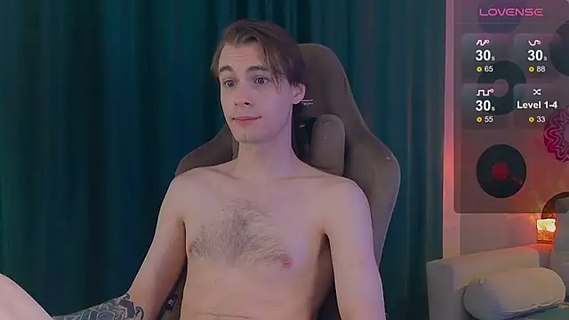 Show Webcam de DebugMee