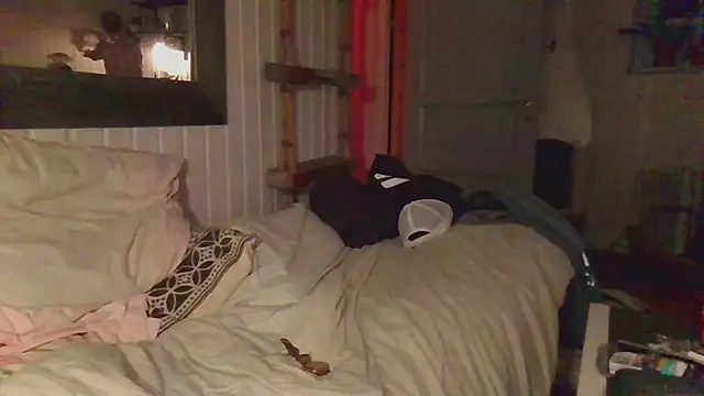 โชว์เว็บแคมของ Stock-Holmes