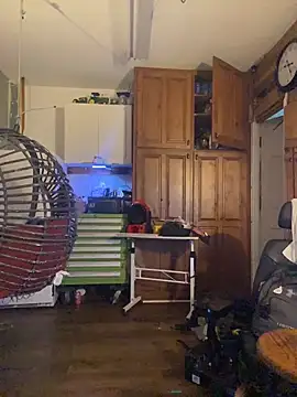 Twist_N_Tease: διαδικτυακό σόου στην κάμερα