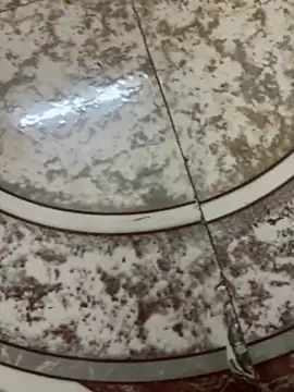 Show de A-mira na webcam