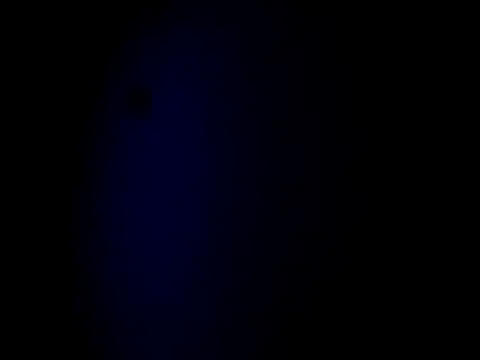 SexyHenesy's Live XXX Chat