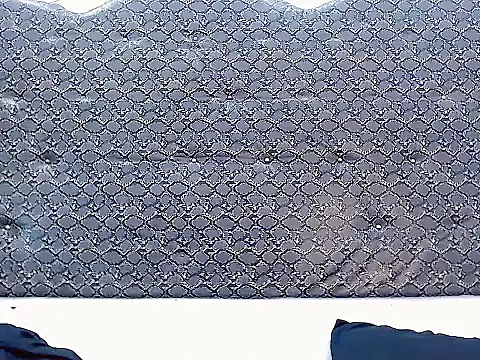 Webkamerová show Salome_bichtxx