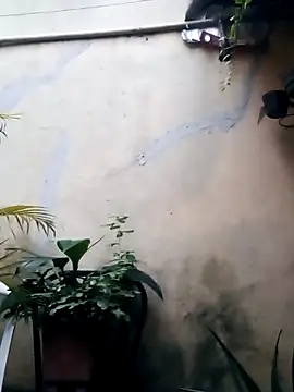 Show de webcam de Dedede32