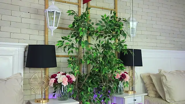 EmillyBronte élő XXX-chatje