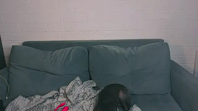 Ashley-Urban – Live XXX-chat