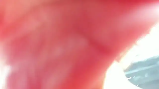 vanesadimaria Chat XXX in diretta