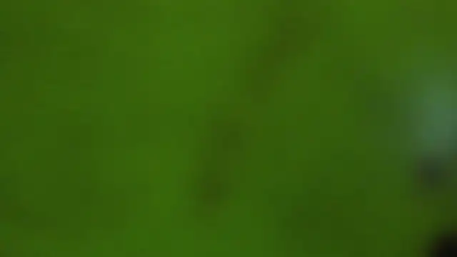 angelswets – Naživo XXX chat