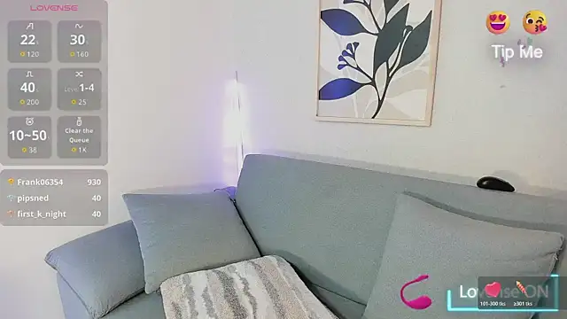 Show webcam de KassMonroe