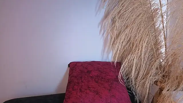 Chat +18 de Elecktra_sweet ao vivo