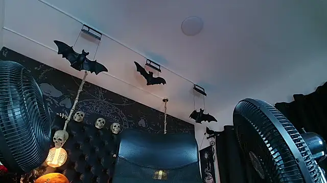 AlexHoe_ Live XXX-Chat