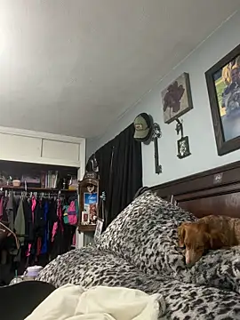 Chat +18 de sweetkacibaby ao vivo