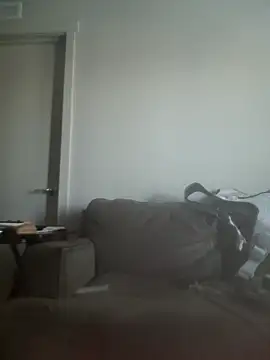 Show Webcam de yourMasterisBored