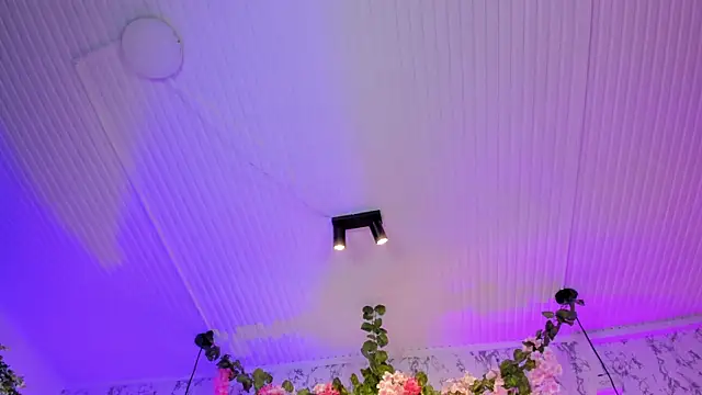 Bonny_and_carrot Adlı Modelin Canlı XXX Sohbeti