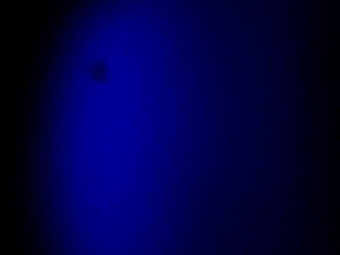 SexyHenesyのライブXXXチャット