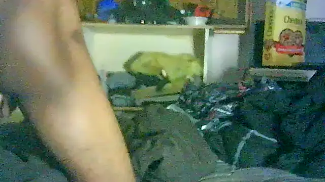 Chat XXX Live GUAPAN3S3_FIR3