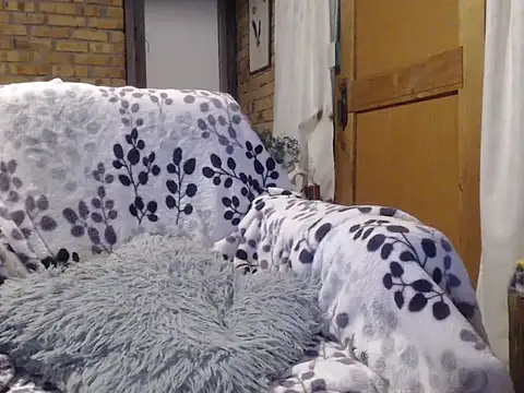 Chat XXX en directo de magiadeisis