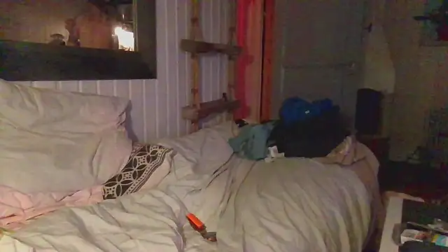 Stock-Holmes 웹캠 쇼